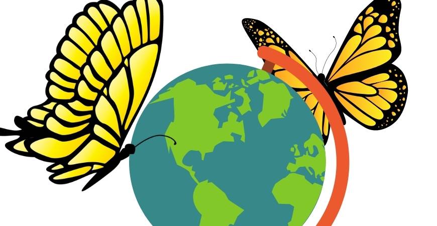 Butterflies landing on a globe