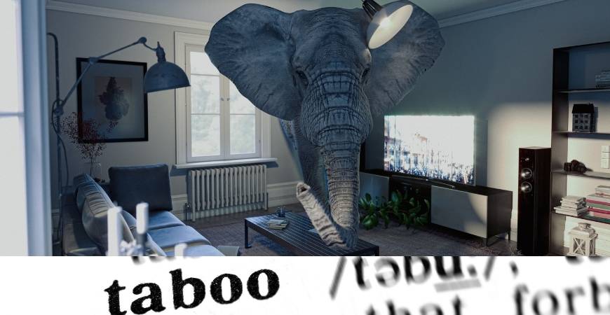 Taboo - The Game Taboo - The Game (An elephant in a living room with the definition of the word taboo)