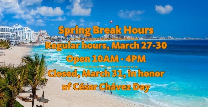 Image of beach in Mexico showing Spring Break Hours